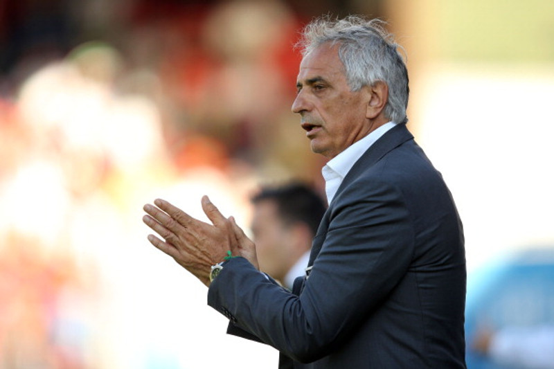Vahid Halilhodzic.