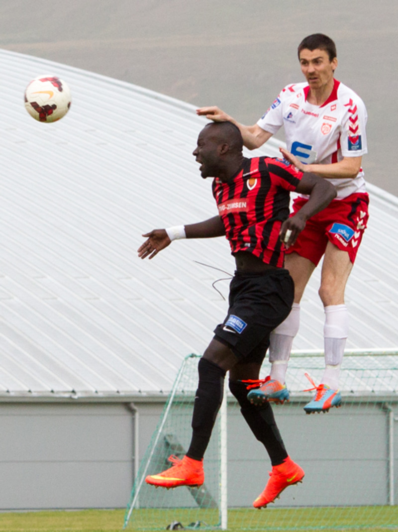 Skítarákir upp eftir allri dollunni