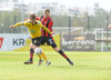Albert Hafsteinsson, Halldór Smári Sigurðsson