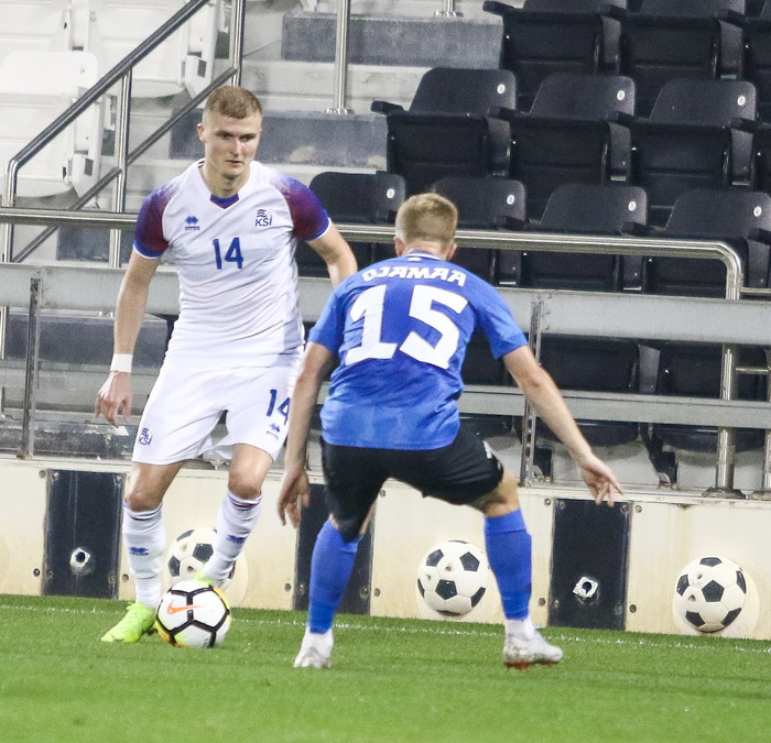 Davíð í landsleiknum gegn Eistlandi í síðustu viku.