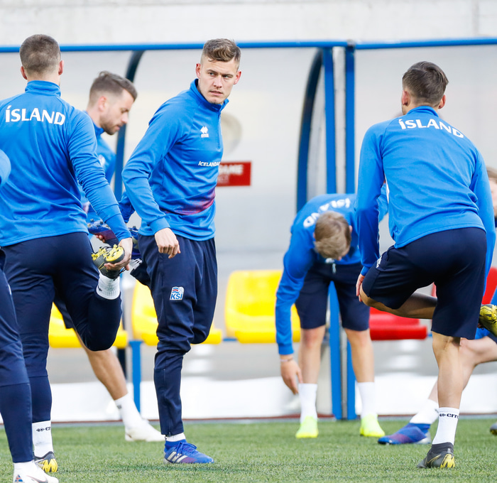 Alfreð Finnbogason.