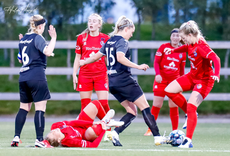 Myndaveisla: Haukar unnu Aftureldingu í fyrrakvöld