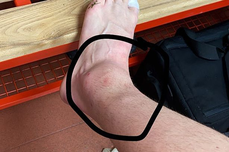 Mynd sem Van de Beek setti á Instagram.