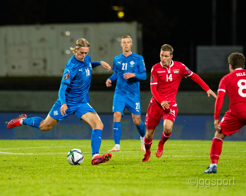 Myndaveisla 2: Ísland vann Liechtenstein
