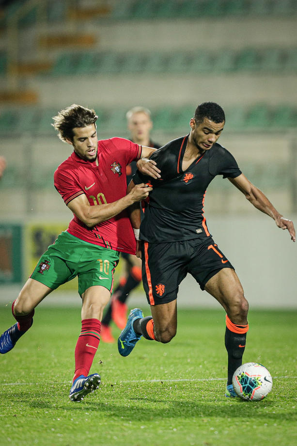 Cody Gakpo í leik með hollenska U21 landsliðinu.