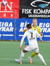 KA-IBV
