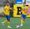 KA-IBV