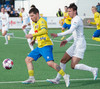KA-IBV