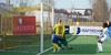 KA-IBV
