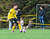 Dimitrije Cokic