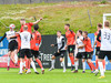 FH - Fylkir