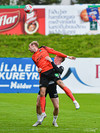 FH - Fylkir