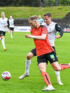FH - Fylkir