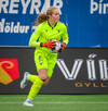 Fanney Inga Birkisdóttir