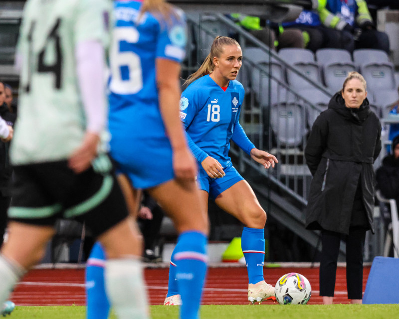 Guðrún Arnardóttir í leiknum í kvöld