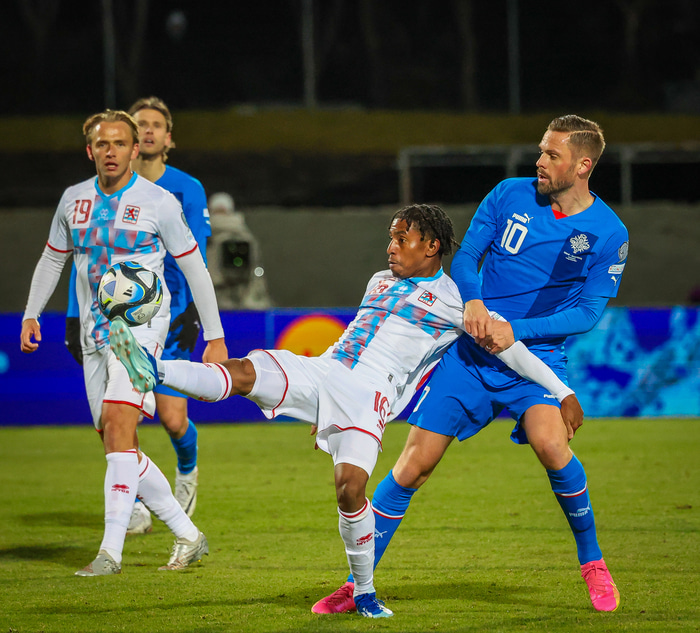 Leandro Barreiro Martins kom Mainz yfir