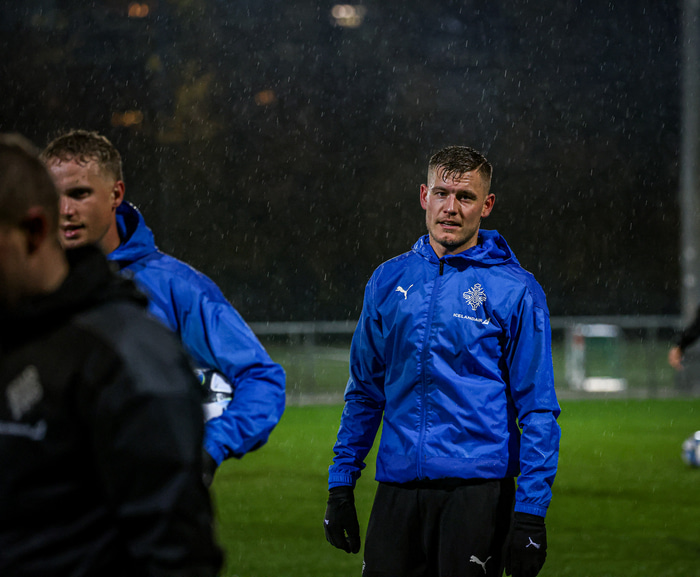 Alfreð Finnbogason.