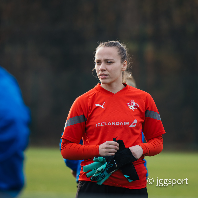 Myndaveisla: Önnur æfing Íslands í Cardiff