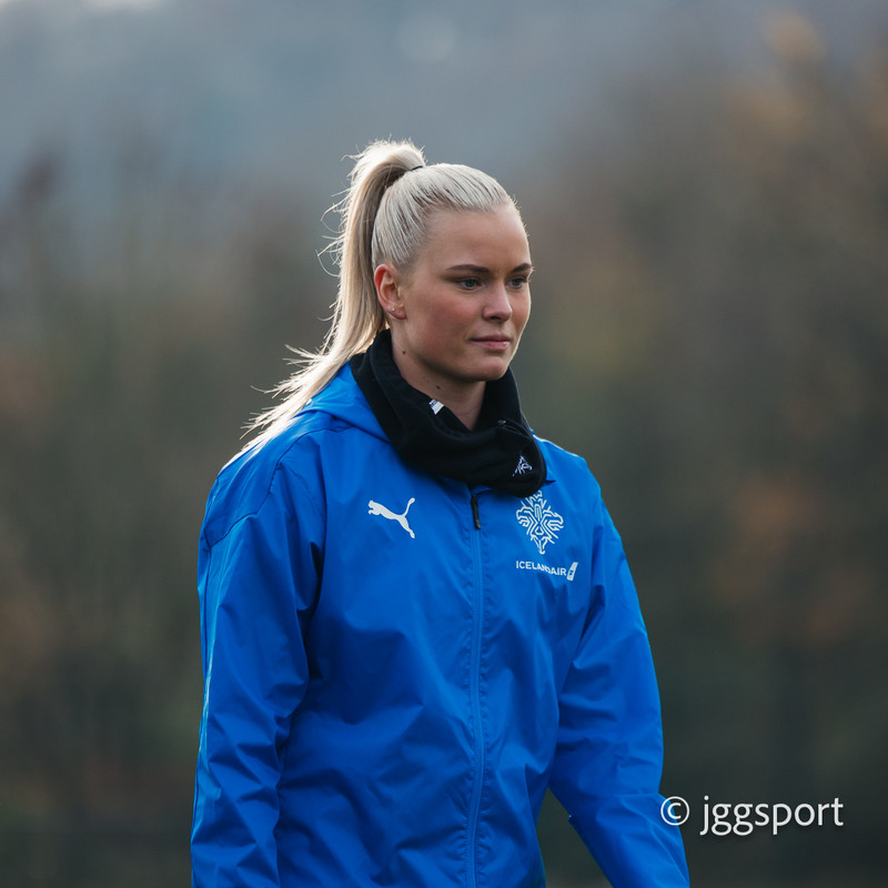 Myndaveisla: Önnur æfing Íslands í Cardiff