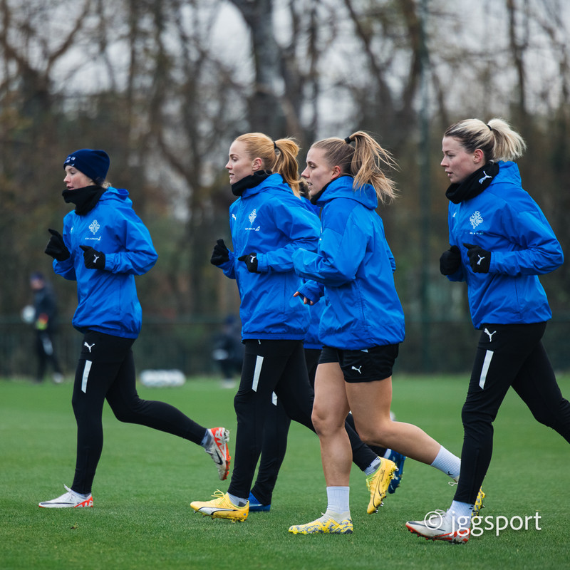 Létt skokk í Cardiff.