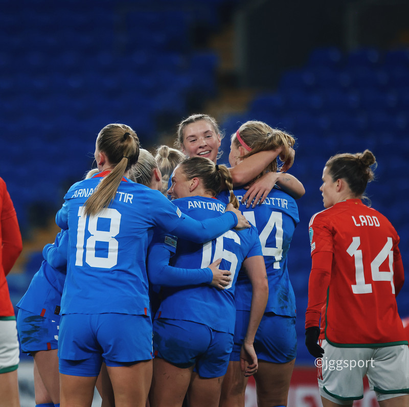 Ísland tryggði sér sæti í umspilinu með sigri á Wales