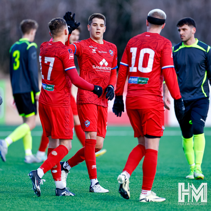 Haukar eru komnir í úrslit