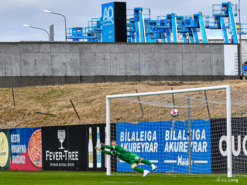 Boltinn fór í netið.