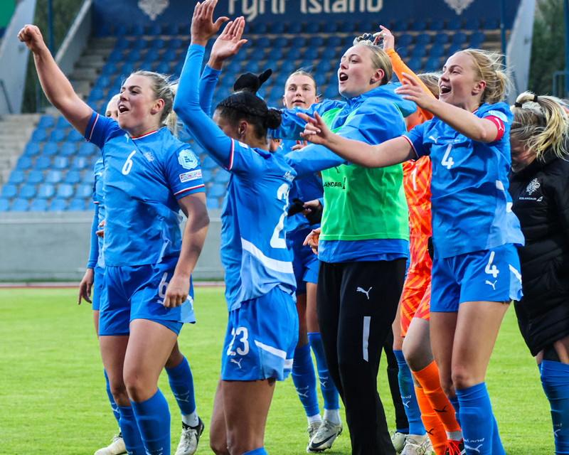 Ísland fagnar sigrinum gegn Austurríki á dögunum.