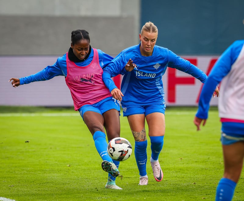 Natasha hefur lagt skóna á hilluna