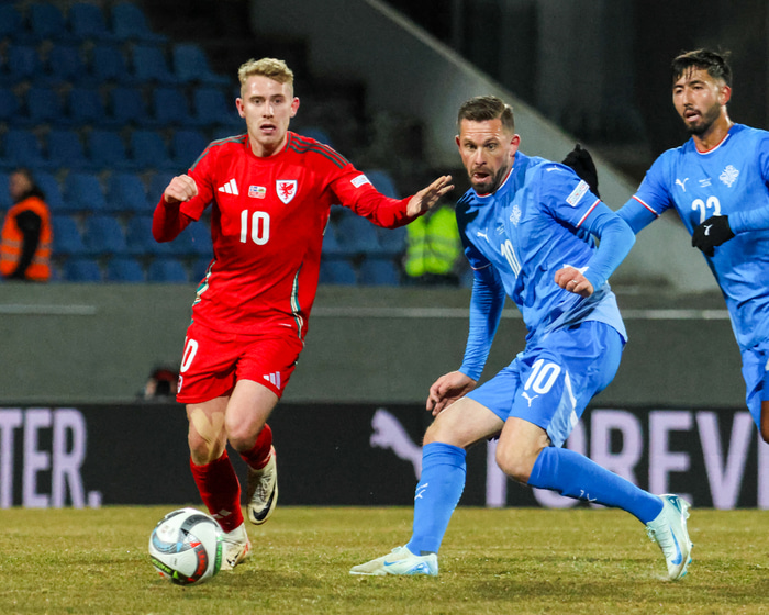 Gylfi kom inn á í kvöld.