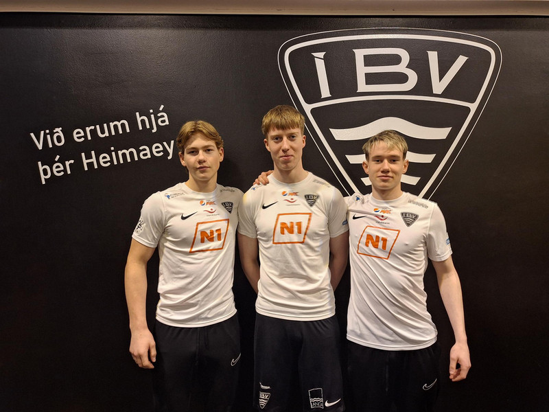 Sigurður Valur Sigursveinsson, Heiðmar Þór Magnússon og Alexander Örn Friðriksson