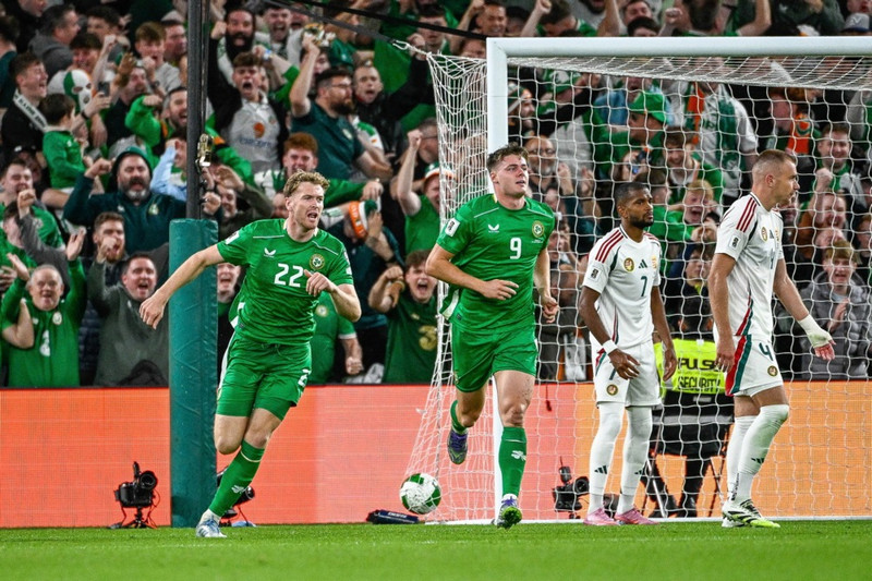 Írland fagnar marki.