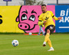 Dajan Ponjevic