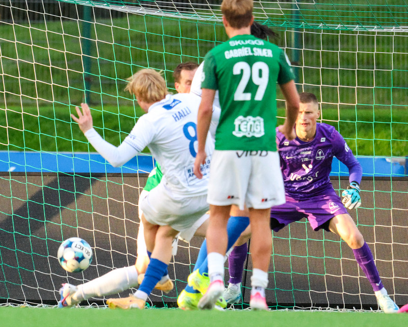 Myndaveisla: Sjö marka veisla í Kópavogi