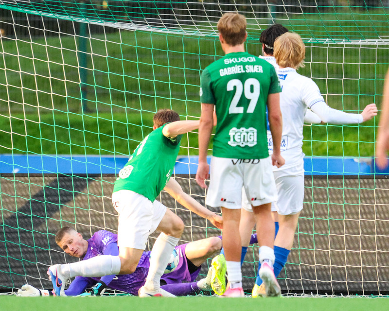 Myndaveisla: Sjö marka veisla í Kópavogi