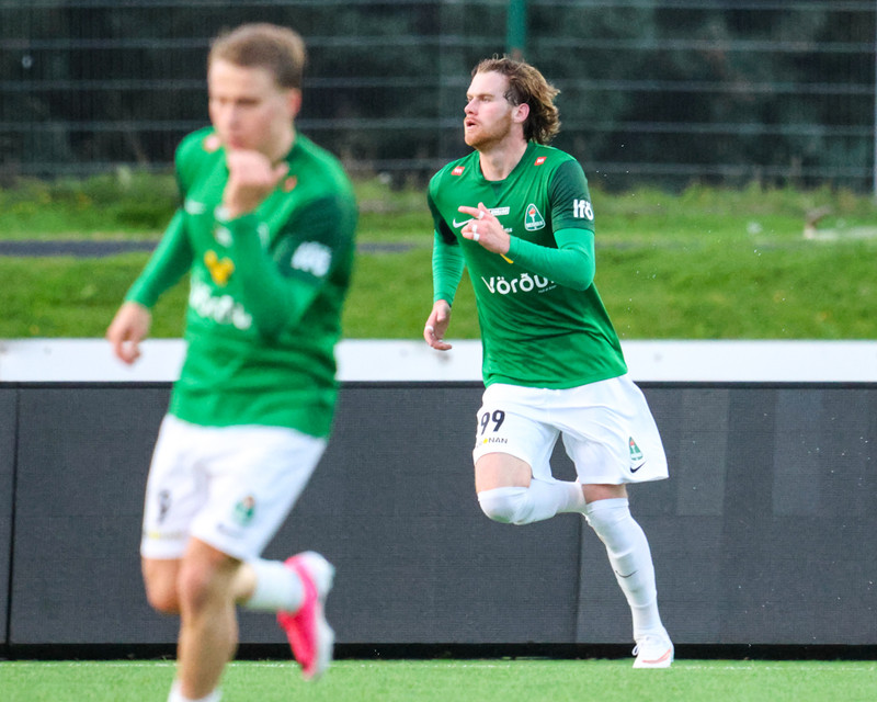 Myndaveisla: Sjö marka veisla í Kópavogi