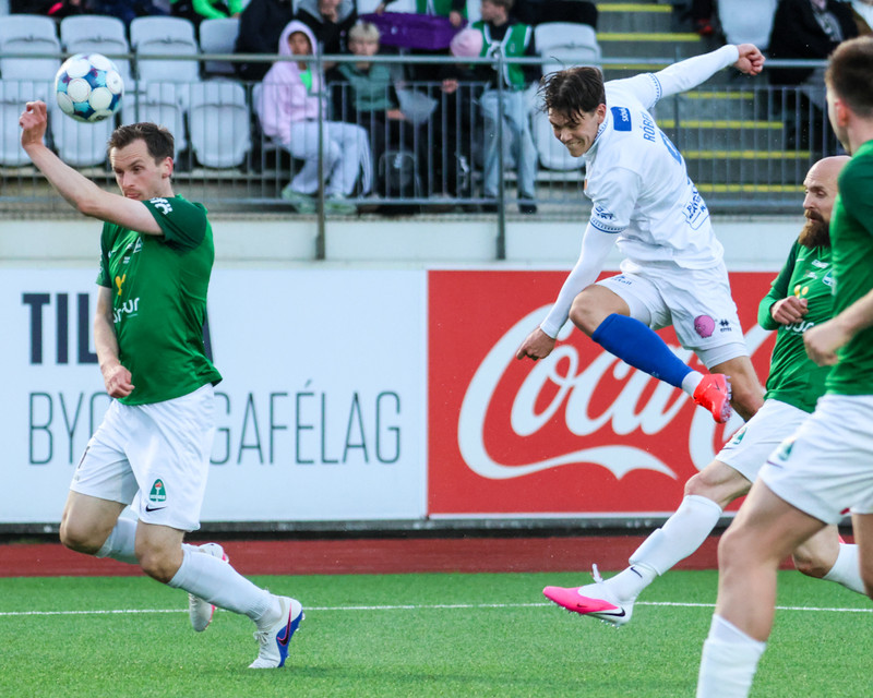Myndaveisla: Sjö marka veisla í Kópavogi
