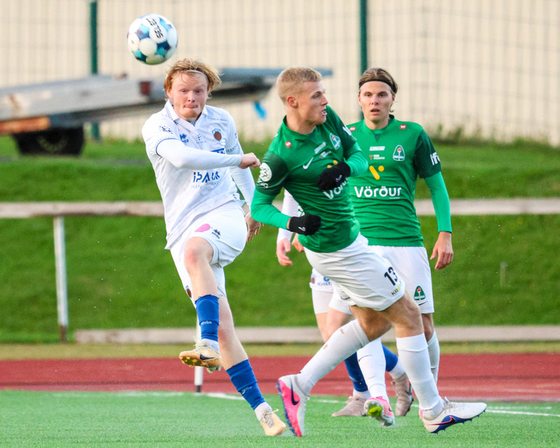 Myndaveisla: Sjö marka veisla í Kópavogi