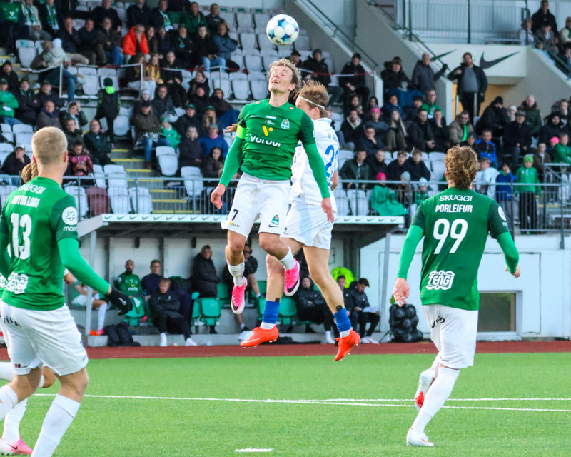 Myndaveisla: Sjö marka veisla í Kópavogi