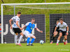 FH-Stjarnan