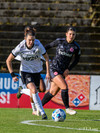 wfh - weintracht frankfurt