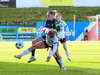 wfh - weintracht frankfurt