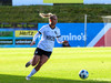 wfh - weintracht frankfurt