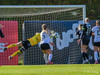 wfh - weintracht frankfurt