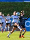 wfh - weintracht frankfurt