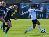 wfh - weintracht frankfurt