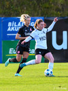 wfh - weintracht frankfurt
