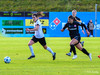 wfh - weintracht frankfurt