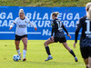 wfh - weintracht frankfurt