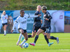 wfh - weintracht frankfurt